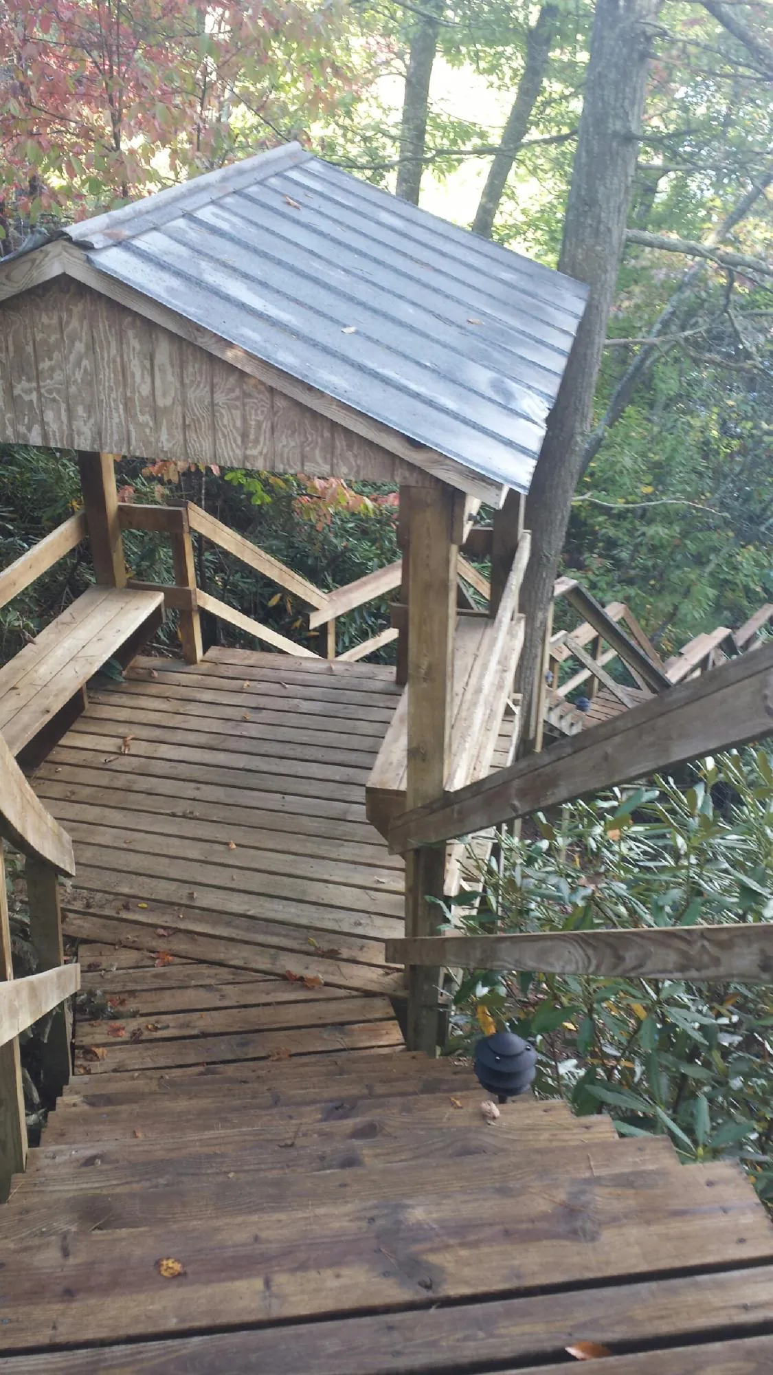 Metal roofed shelter over wooden steps on a wooded walkway — Skylight Repair & Installation work by our crew in Mims